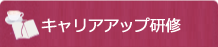 キャリアアップ研修